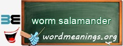 WordMeaning blackboard for worm salamander